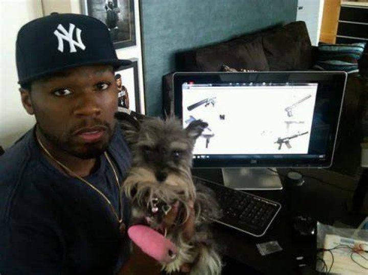 50 Cent Pets - Celebrity Pets