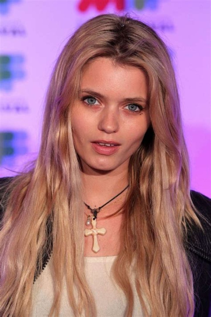Abbey Lee Kershaw Bio (Wiki) 