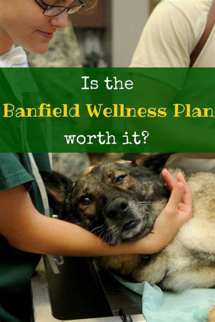 Are Banfield wellness plans worth it?