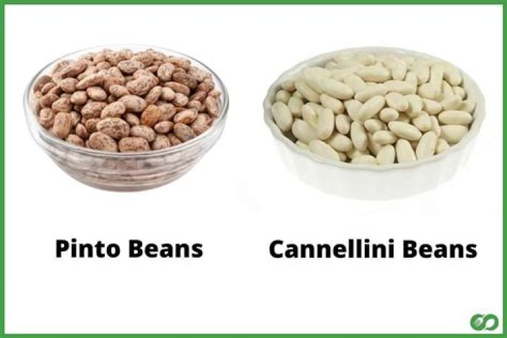 Are cannellini beans the same as pinto beans?