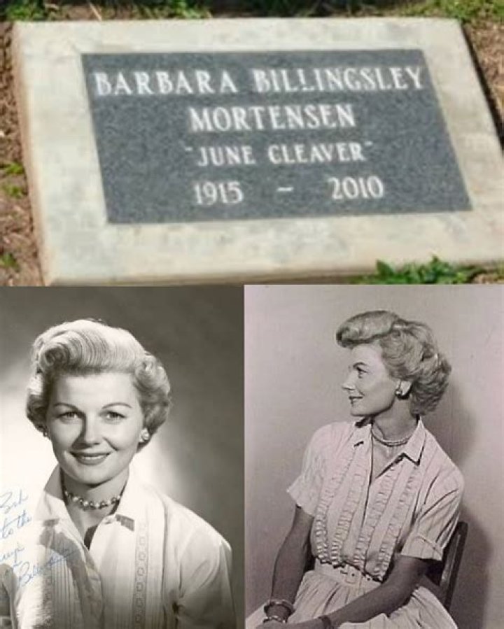 Barbara Billingsley in her old age still smiling
