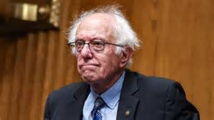 Bernie Sanders' Book Our Revolution: A Future to Believe In: Be. net worth, salary, earning, book, author, politician, source of income