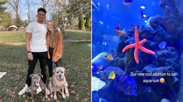Brittany Mahomes Pets