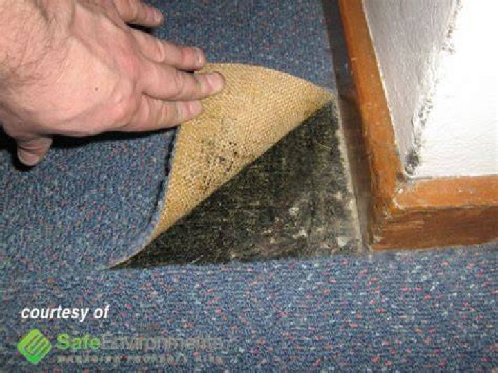 Can there be asbestos in carpet underlay?