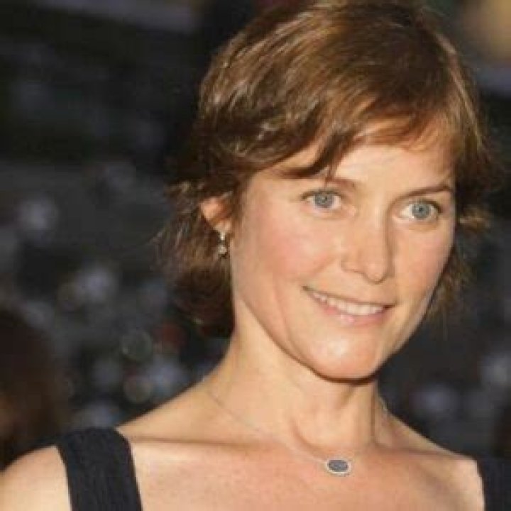 Carey lowell Bio (Wiki) 