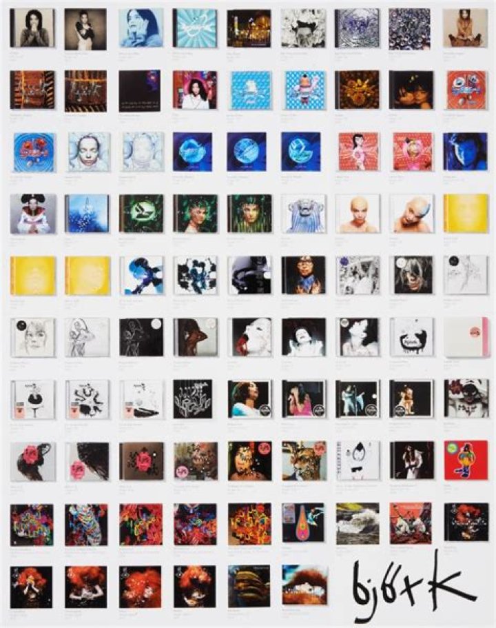 Celebitchy: Bjork Archives