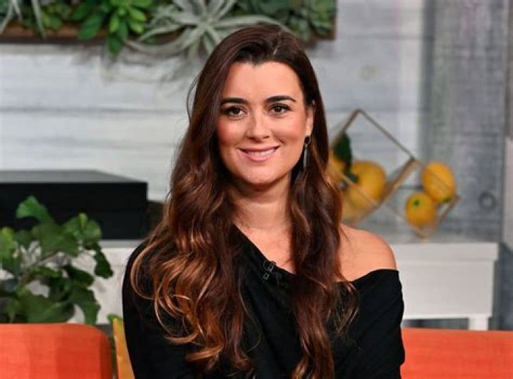 Cote de Pablo Bio (Wiki) 