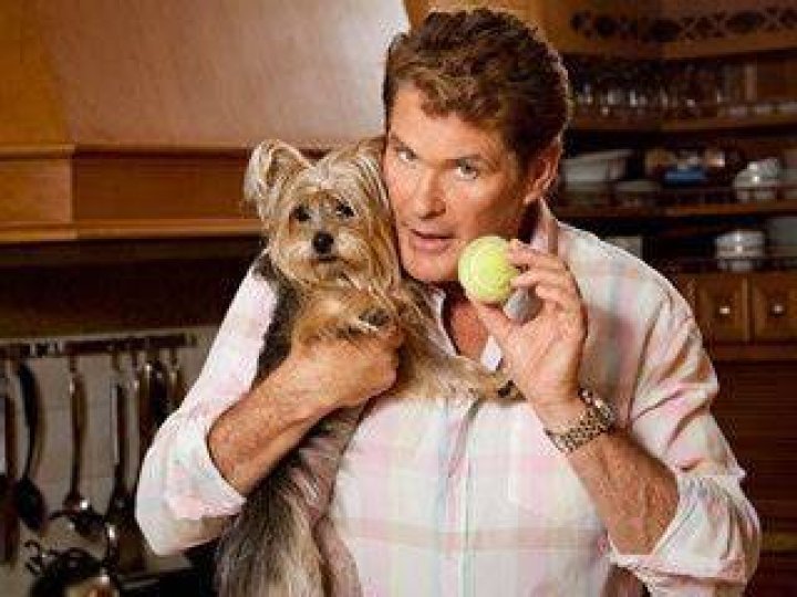 David Hasselhoff Pets