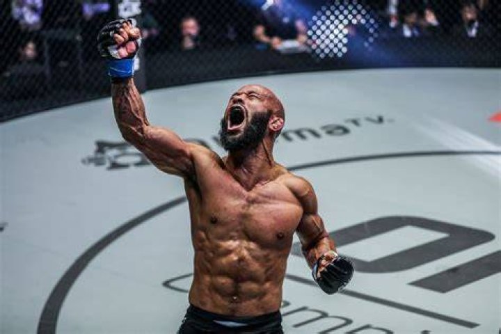 Demetrious Johnson photo