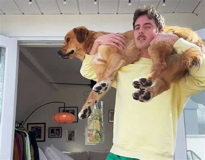 Denis Kopotun Pets