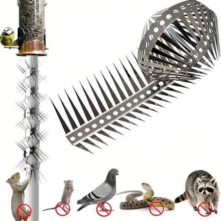 Do bird spikes work for squirrels?