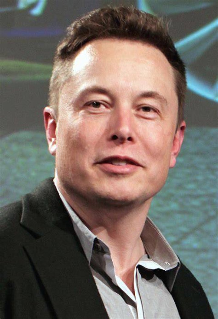 Elon Musk at the 2015 Tesla Model Annual Meeting.