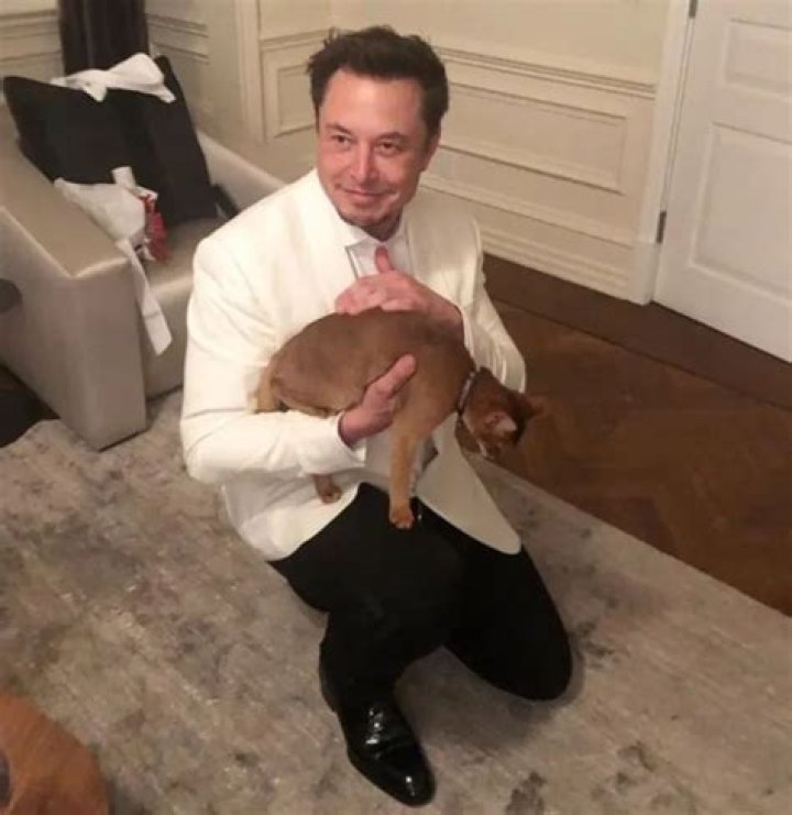 Elon Musk Pets