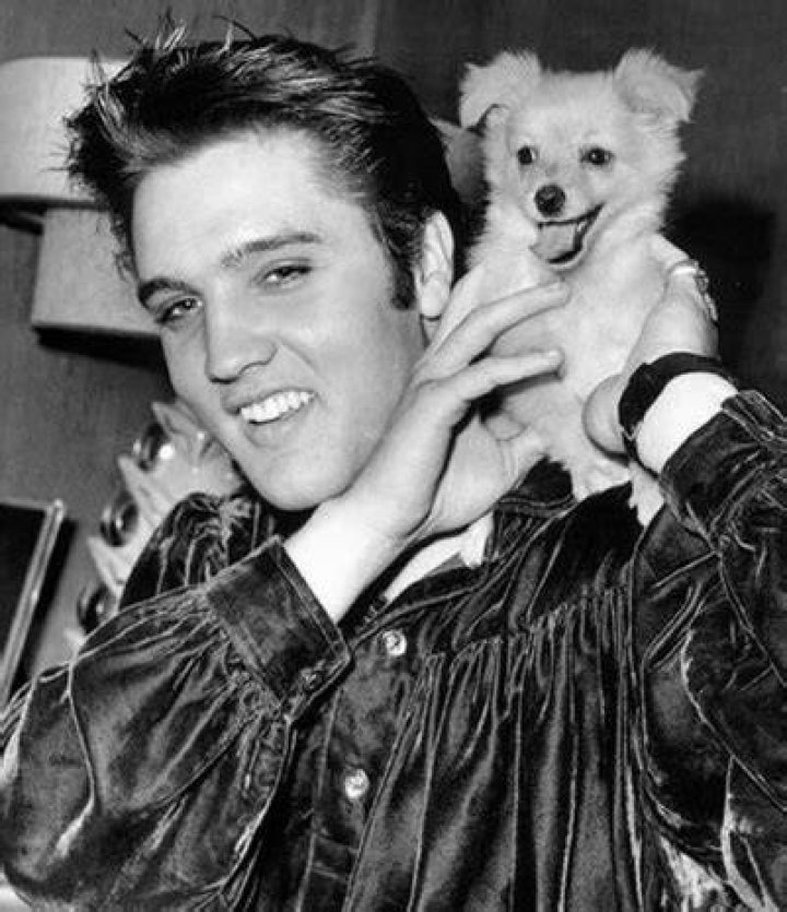 Elvis Presley Pets