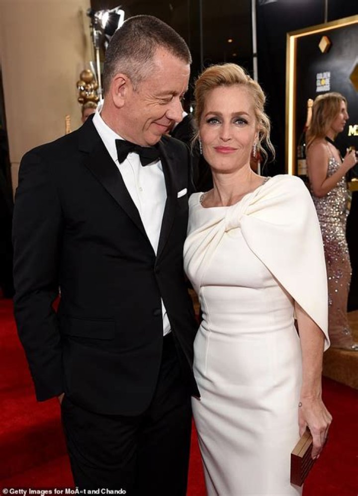 Gillian Anderson and her husband have split