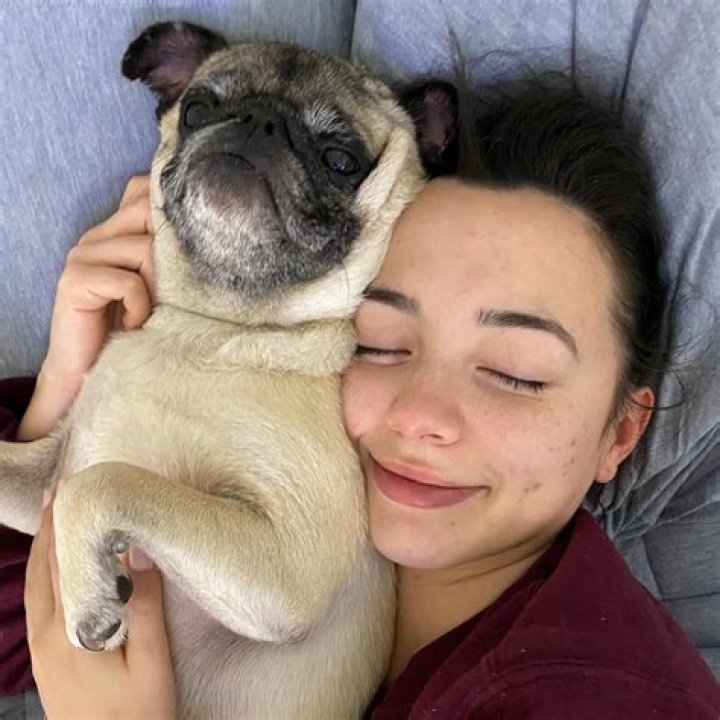 Guppy the Pug Instagram
