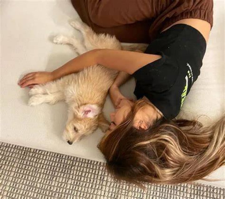 Heyoon Jeong Pets