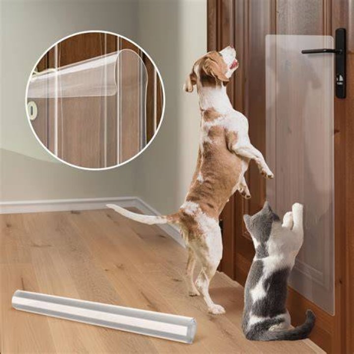 How do I protect my dog from door frame?