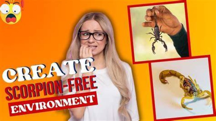 How do you keep scorpions away?