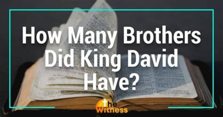 How many brothers did King David have?