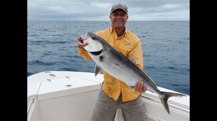 Is Amberjack good eating?