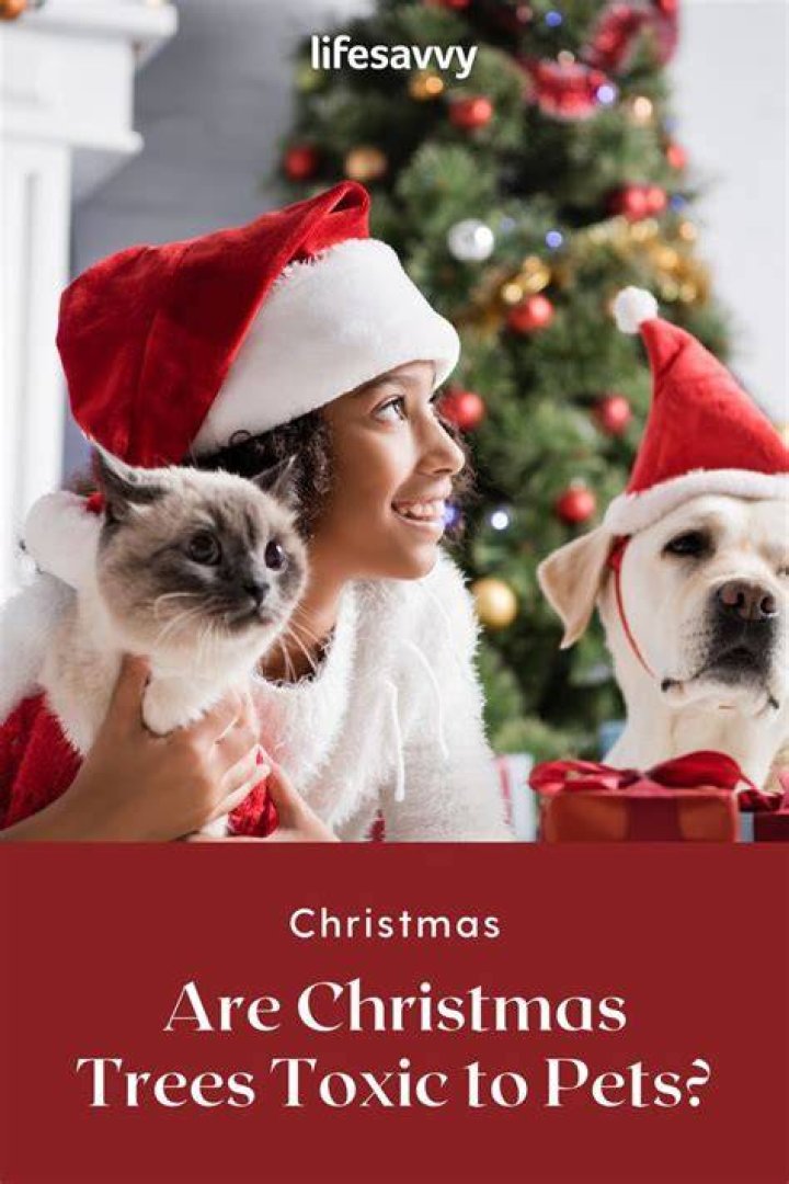 Is Christmas tree flocking toxic to pets?