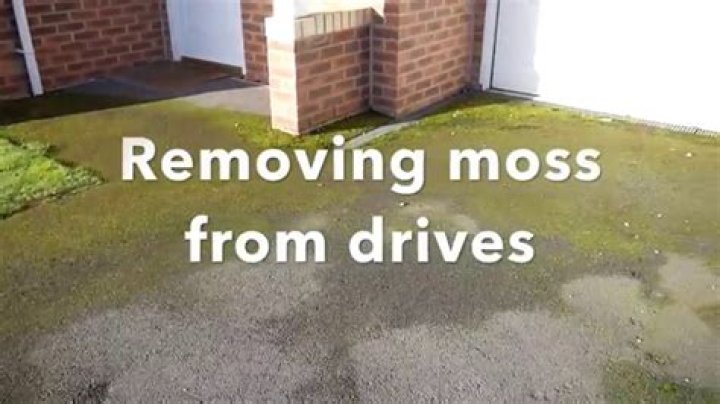 Is Moss killer bad for dogs?