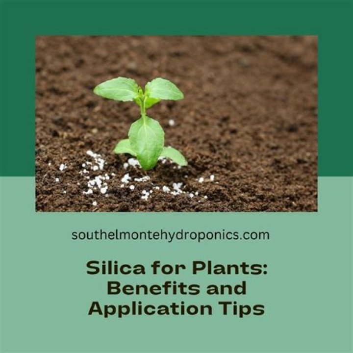 Is silica good for plants?