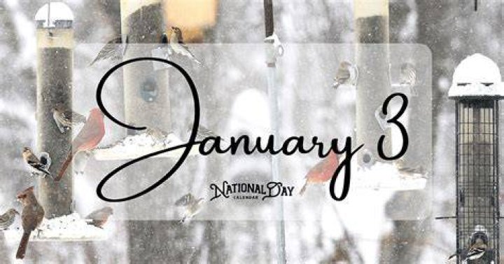 January 3 Birthdays By Profession