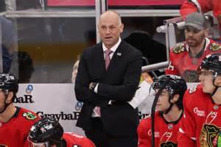 Jeff Blashill Bio (Wiki) 