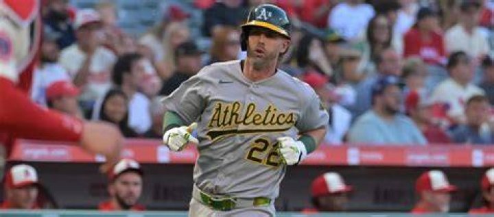 Jeff McNeil's pet Willow
