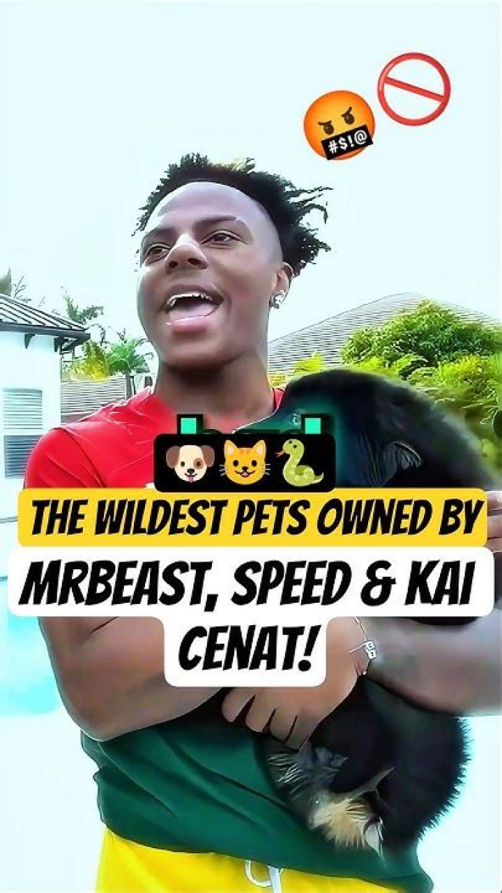 Kai Cenat Pets