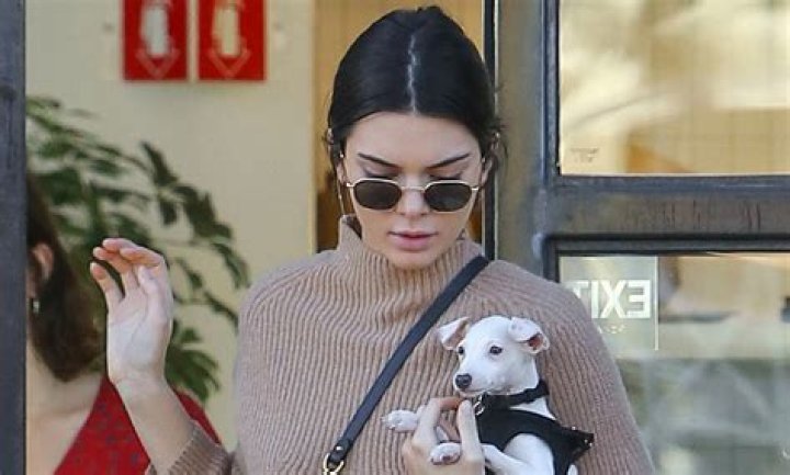 Kendall Jenner Pets