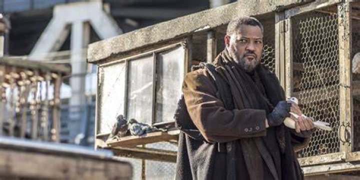 Laurence Fishburne photo 2