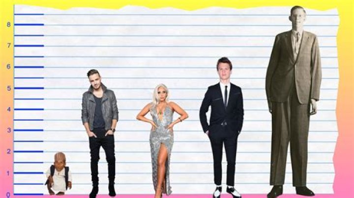 Liam Payne height: How tall is Liam Payne?