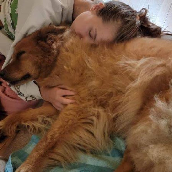 Mica Von has a dog.