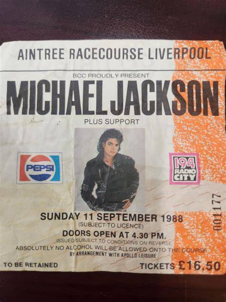 Michael Jackson Concert - Day 1
