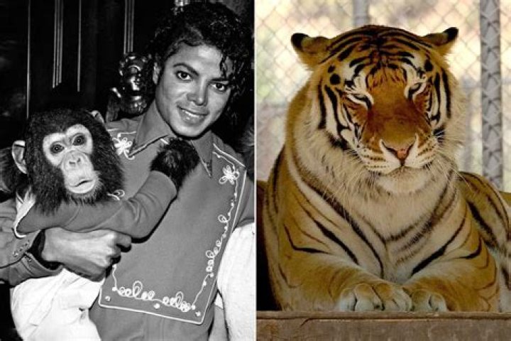 Michael Jackson Pets
