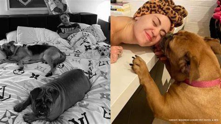 Miley Cyrus Pets