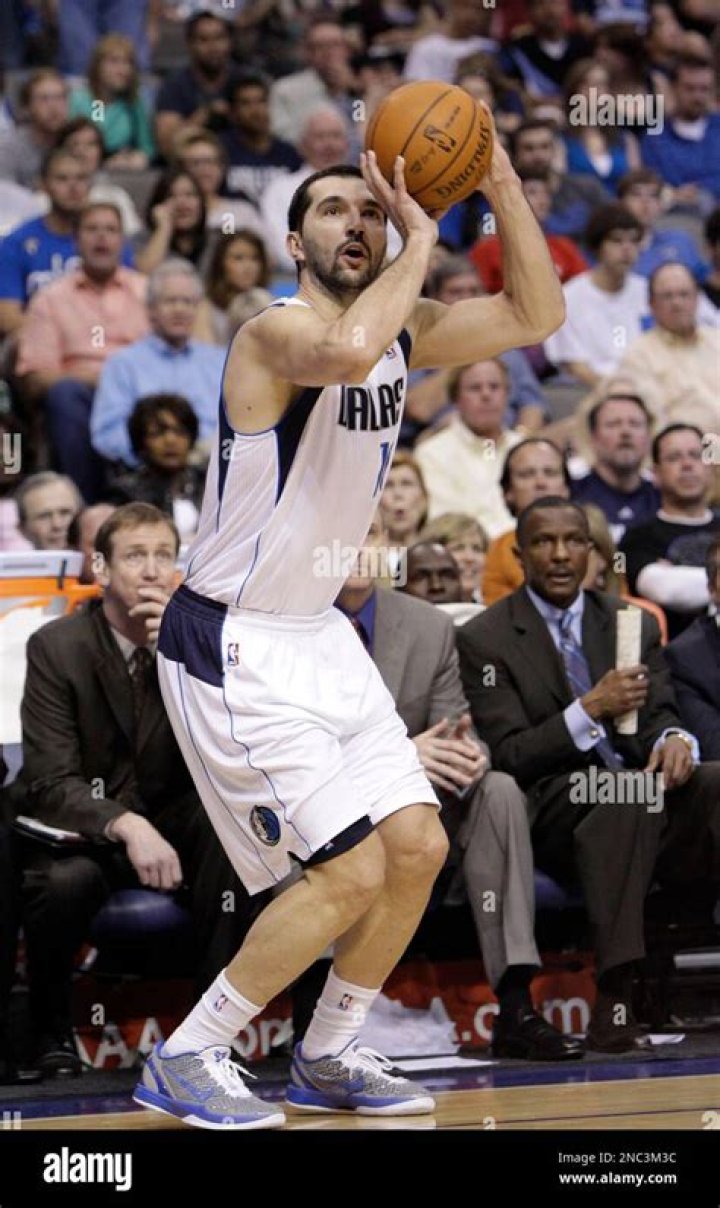 Peja Stojakovic photo 3