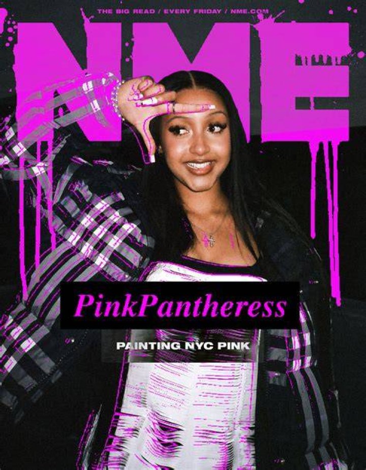 PinkPantheress Bio (Wiki) 