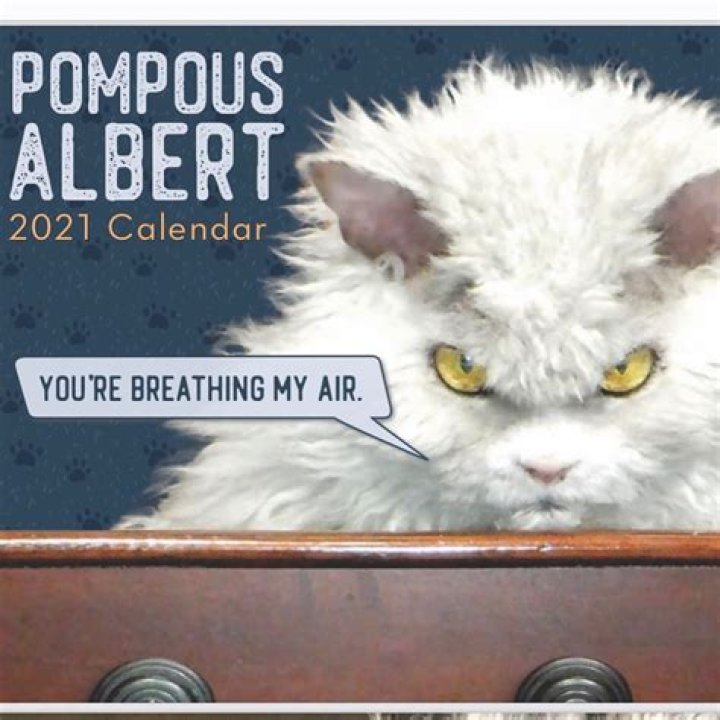 pompous.albert