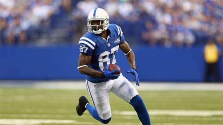 Reggie Wayne photo 2