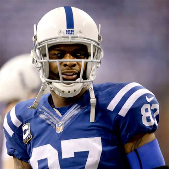 Reggie Wayne photo 3