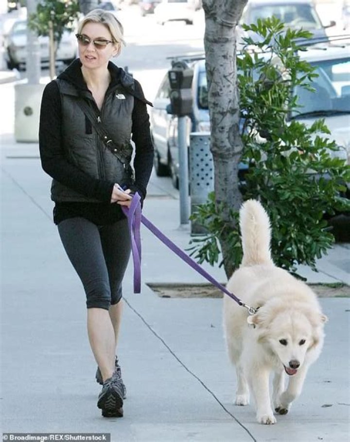 Renee Zellweger Pets