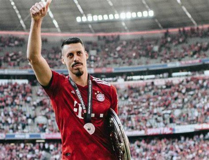 Sandro Wagner Bio (Wiki) 