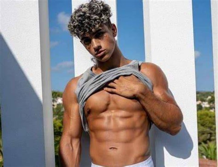 Sepanta Arya Bio (Wiki) 