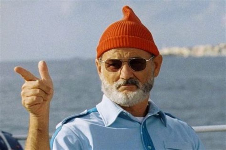 The ‘difficult’ Bill Murray’s great career, his interesting personal life and ‘fists and blows’: Know it here! Source: Dazed (Bill Murray in ‘The Life aquatic’)