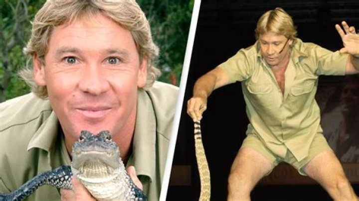 Steve Irwin Highlights
