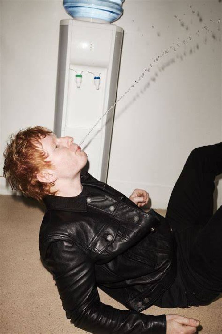 teddysphotos
